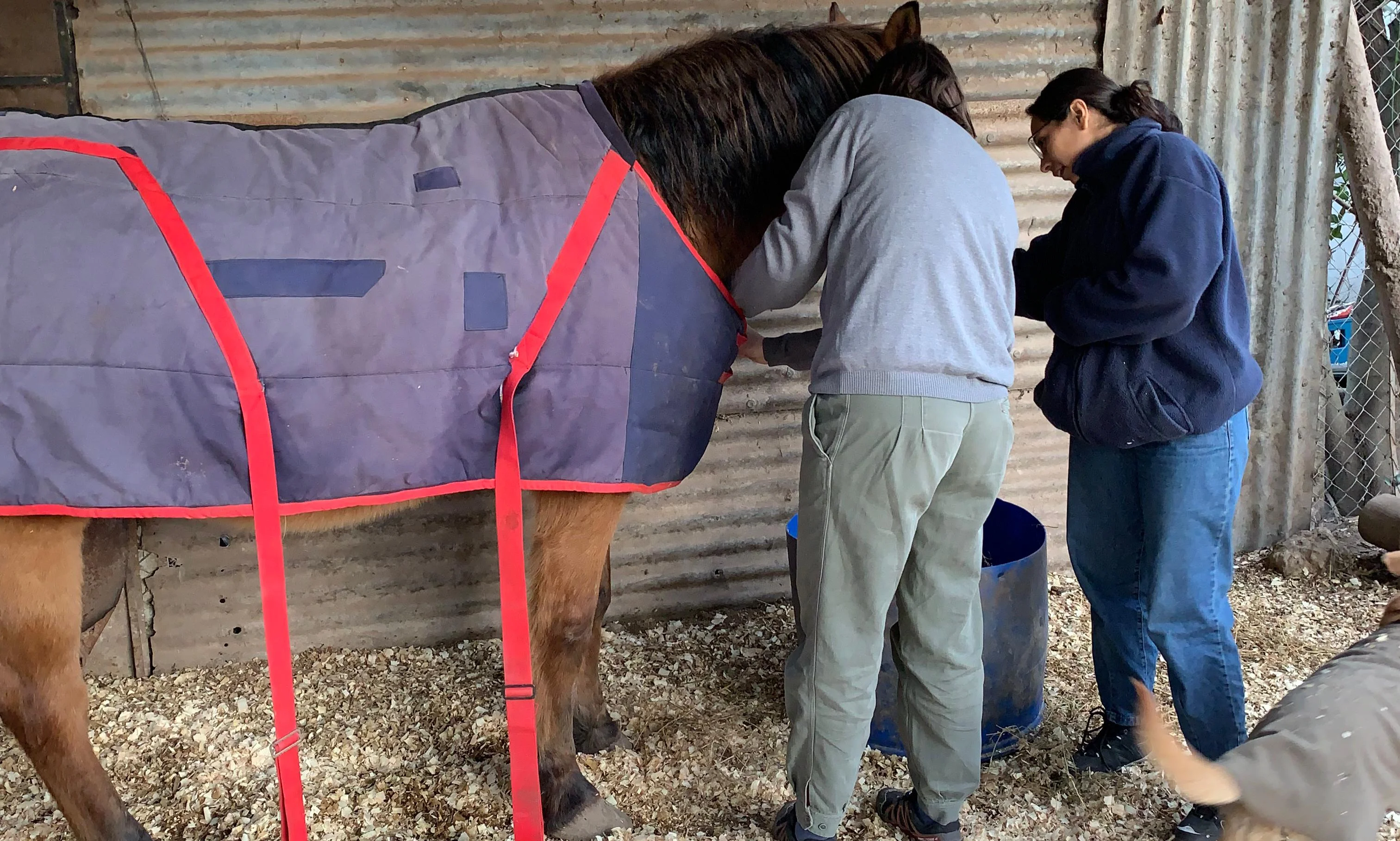 Adaptación durante la pandemia